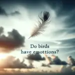 Do Birds Have Emotions?