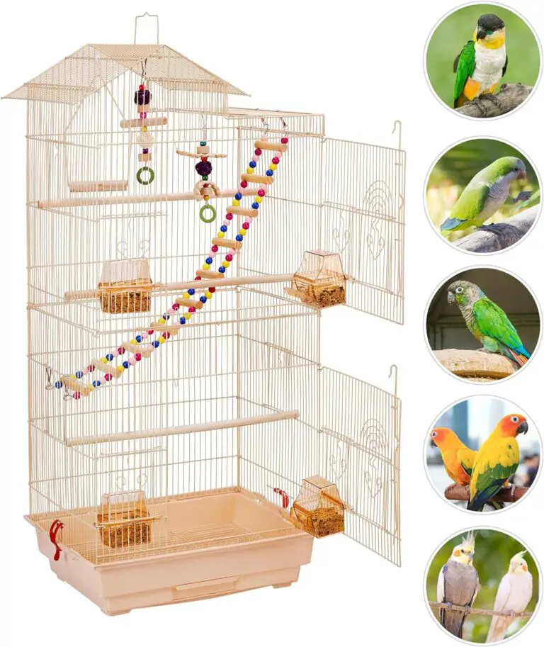 Yaheetech Bird Cage Review