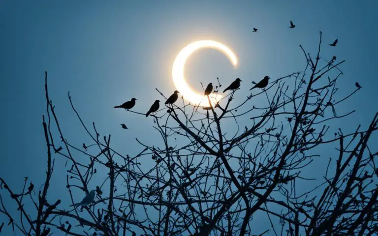 How Does a Solar Eclipse Affect Birds?