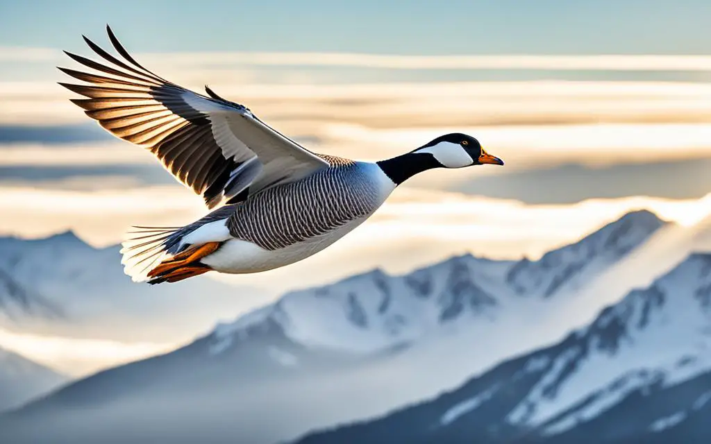 Bar-Headed Goose Bird in Flight