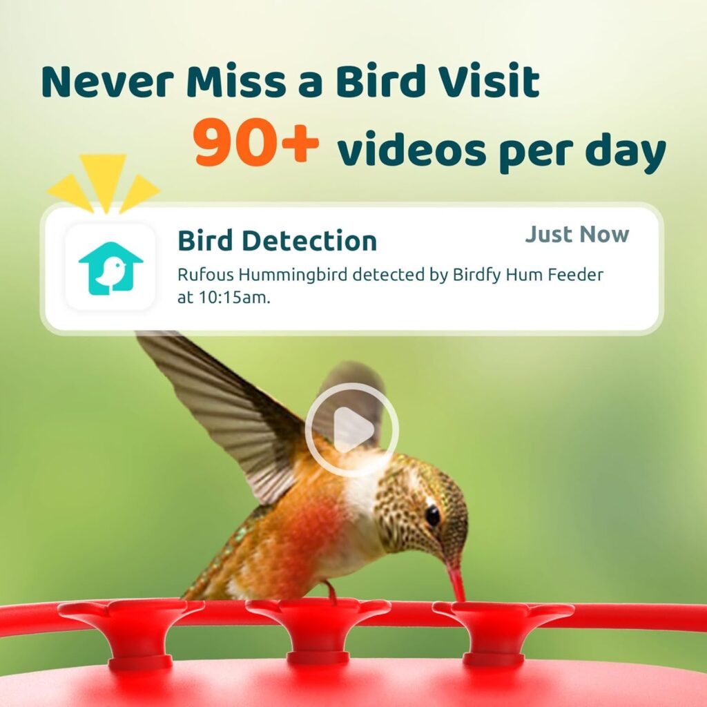 NETVUE Birdfy Hummingbird Feeder with Camera - 2K Dual Smart Cameras, Close-Up Bird Watching, Free AI Identify Hummingbird Species,Live View  Instant Notifications, Ant Moat (20 Ounces)