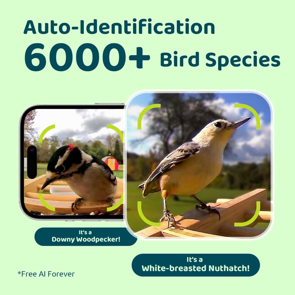 NETVUE Birdfy® AI Smart Bird Feeder with Camera Solar Powered, Lifetime AI Identify 6000+ Bird Species  Motion Detection, Eco-Friendly  Renewable Upgraded Bamboo Wood Bird Feeder Camera, Ideal Gift