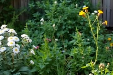 Splash into Savings: Choosing the Perfect Bird Bath for Your Backyard Birds