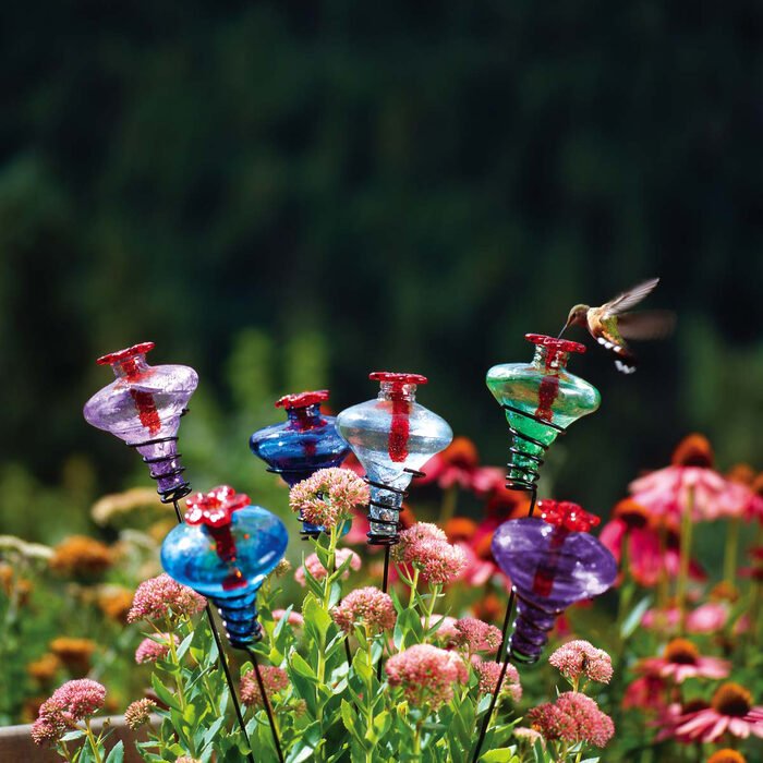 A hummingbird feeding from a colorful feeder in a garden.