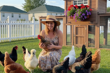 backyard chickens therapy