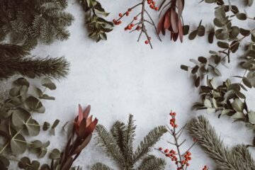 Christmas gifts for bird lovers holiday presents